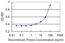 LIMD1 Antibody (clone 2G5)