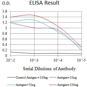 FCGRT / FCRN Antibody (clone 2B3B11)