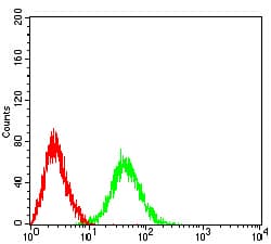 BCL11B Antibody (clone 1F8H9)