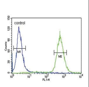 GDNF Antibody (aa8-36)