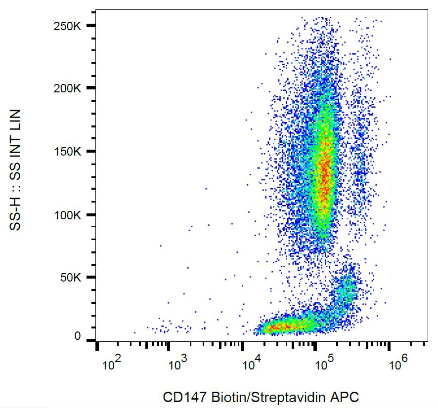 Basigin / Emmprin / CD147 Antibody (N-Terminus, clone MEM-M6/1, Biotin)