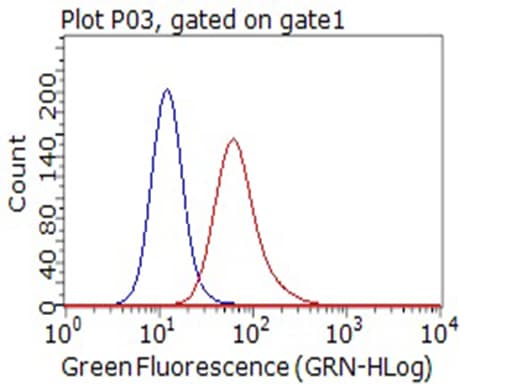 Monoclonal Mouse anti-Human CD80 Antibody (clone OTI1G9, WB)