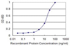 PCDHGC3 / PCDH2 Antibody (clone 1C4)