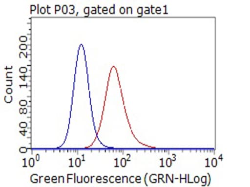 Monoclonal Mouse anti-Human CD80 Antibody (clone OTI1A10, WB)