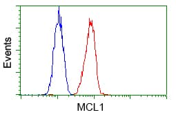 IHC-plus™ Monoclonal Mouse anti-Human MCL1 / MCL 1 Antibody (clone 2E11, IHC, IF, WB)