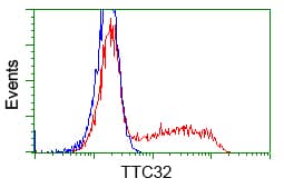 TTC32 Antibody (clone OTI3E11, Carrier-free)