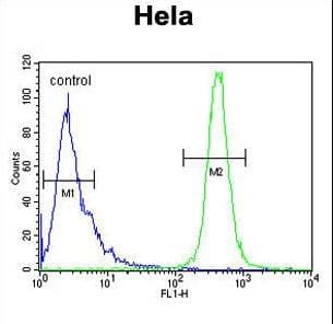 Polyclonal Rabbit anti-Human IMP3 Antibody (aa156-184, IHC, WB)