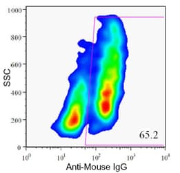 Monoclonal Mouse anti-Human Pancreas Marker HPi1 Antibody (clone HIC0-4F9, Biotin, IHC, IF)