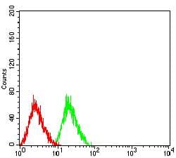 CD177 Antibody (clone 2F2C5)