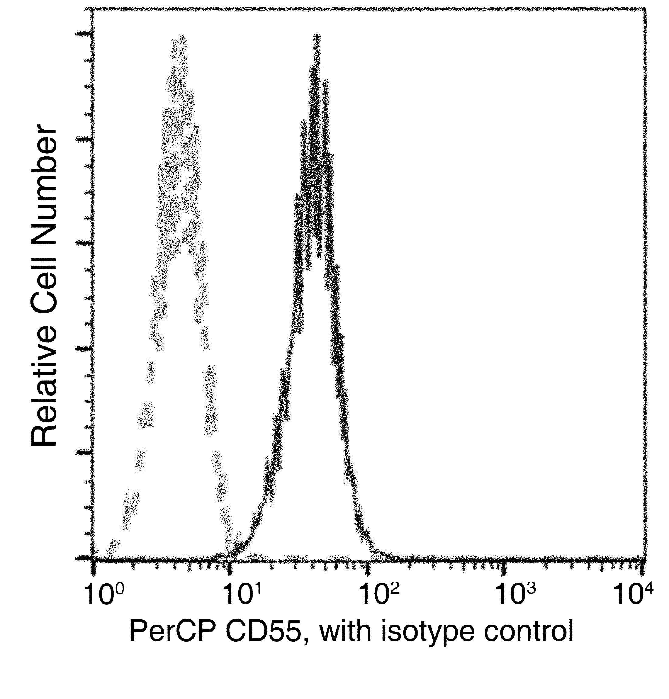 Monoclonal Mouse anti-Human CD55 Antibody (clone 04, PerCP)