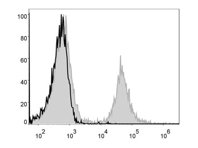 CD4 Antibody (clone GK1.5, PE)