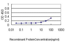 VBP1 Antibody (clone 3D11)
