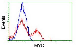 Monoclonal Mouse anti-Human MYC / c-Myc Antibody (clone OTI1A6, IHC, IF, WB)