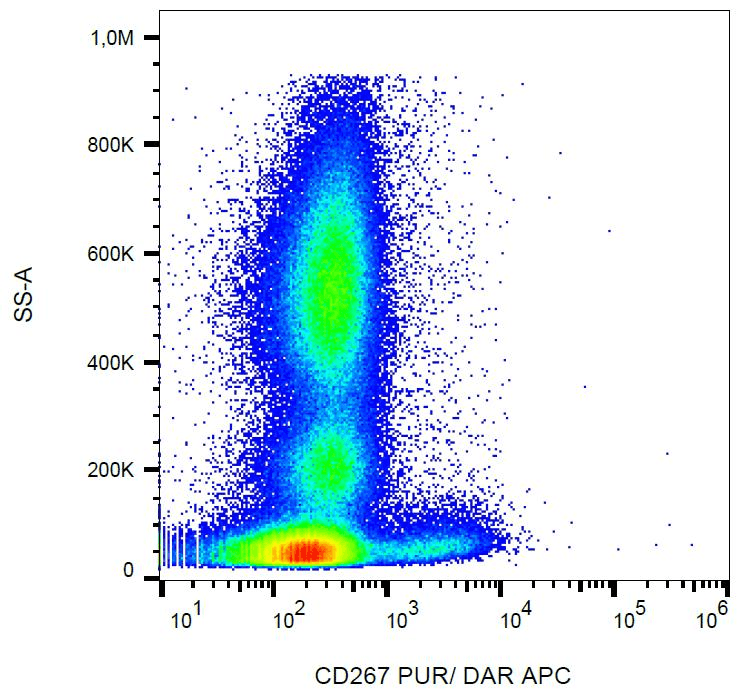 TNFRSF13B / TACI Antibody (clone 1A1)