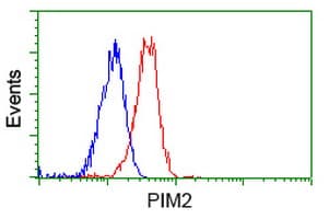 PIM2 / Pim-2 Antibody (clone OTI9A5)