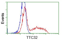TTC32 Antibody (clone OTI1F7)