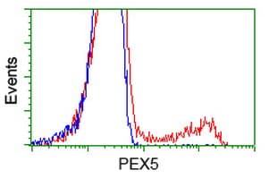 PEX5 Antibody (clone OTI6E9)