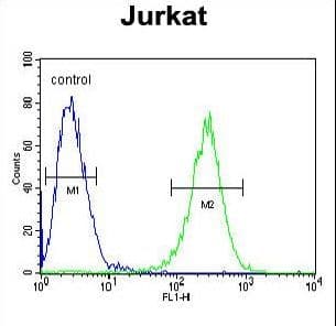 Polyclonal Rabbit anti-Human MPP1 Antibody (aa301-327, IHC, WB)