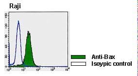 BAX Antibody (clone 4F11)