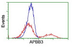 APBB3 Antibody (clone OTI5G3)