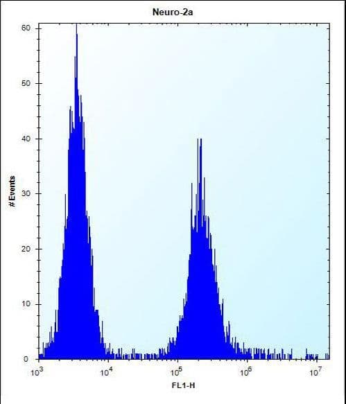 Polyclonal Rabbit anti-Human EFCAB7 Antibody (aa434-462, IHC, WB)