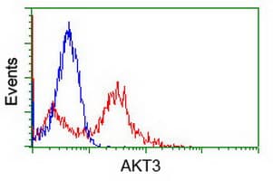 AKT3 Antibody (clone OTI9B2)