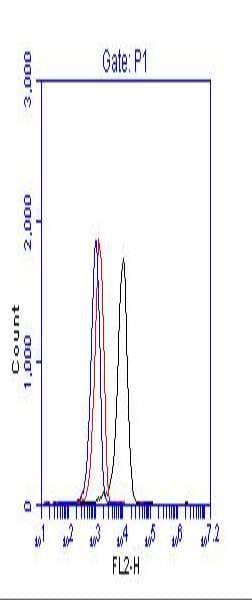 CML / BCR Antibody (aa1221-1271)