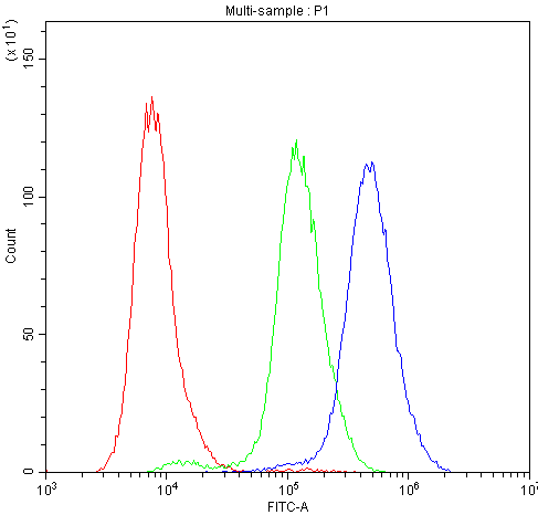 PLIN1 / Perilipin Antibody