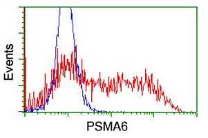 PSMA6 Antibody (clone OTI2A6)
