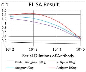 CSF1R / CD115 / FMS Antibody (aa344-497, clone 6B9H2)