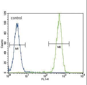 IHC-plus™ TERT / Telomerase Antibody (aa627-656)