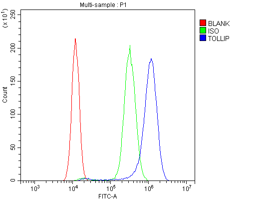 Polyclonal Rabbit anti-Human TOLLIP Antibody (aa224-243, IHC, WB)