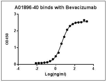Bevacizumab Antibody (clone 46000, Biotin)