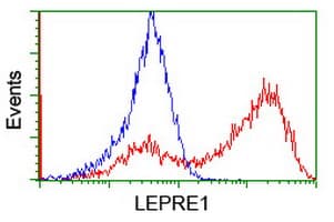 Monoclonal Mouse anti-Human P3H1 / LEPRE1 Antibody (clone OTI1B4, IF, WB)