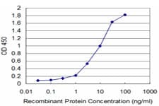 HCLS1 Antibody (clone 3F4)