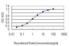 IHC-plus™ Monoclonal Mouse anti-Human GCP60 / ACBD3 Antibody (clone 2G2, IHC, IF, WB)