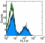 CD5 Antibody (clone 53-7.3, FITC)