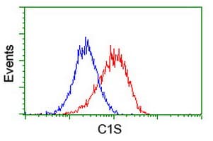 IHC-plus™ Complement C1s Antibody (clone 2D11)