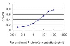 CASP1 / Caspase 1 Antibody (clone 3D2)