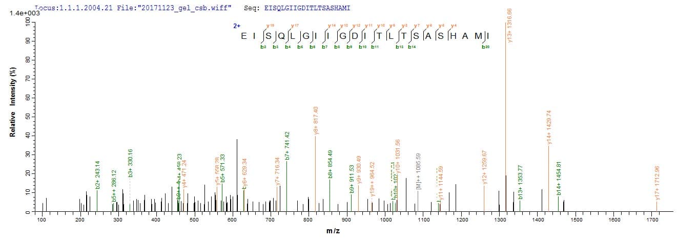 Rat LGALS3 / Galectin 3 Protein (Recombinant 6His, N-terminus)