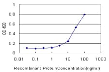 CYP2J2 Antibody (clone 2D10)