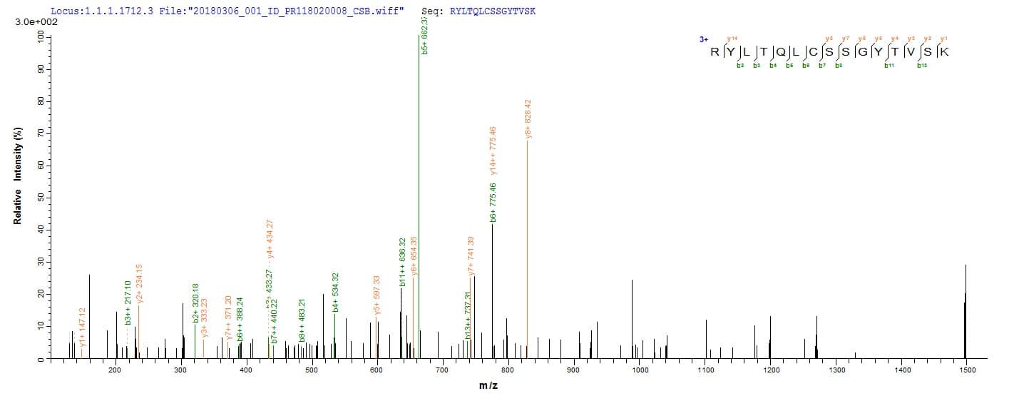 Candida albicans PRA1 Protein (Recombinant 6His, N-terminus)