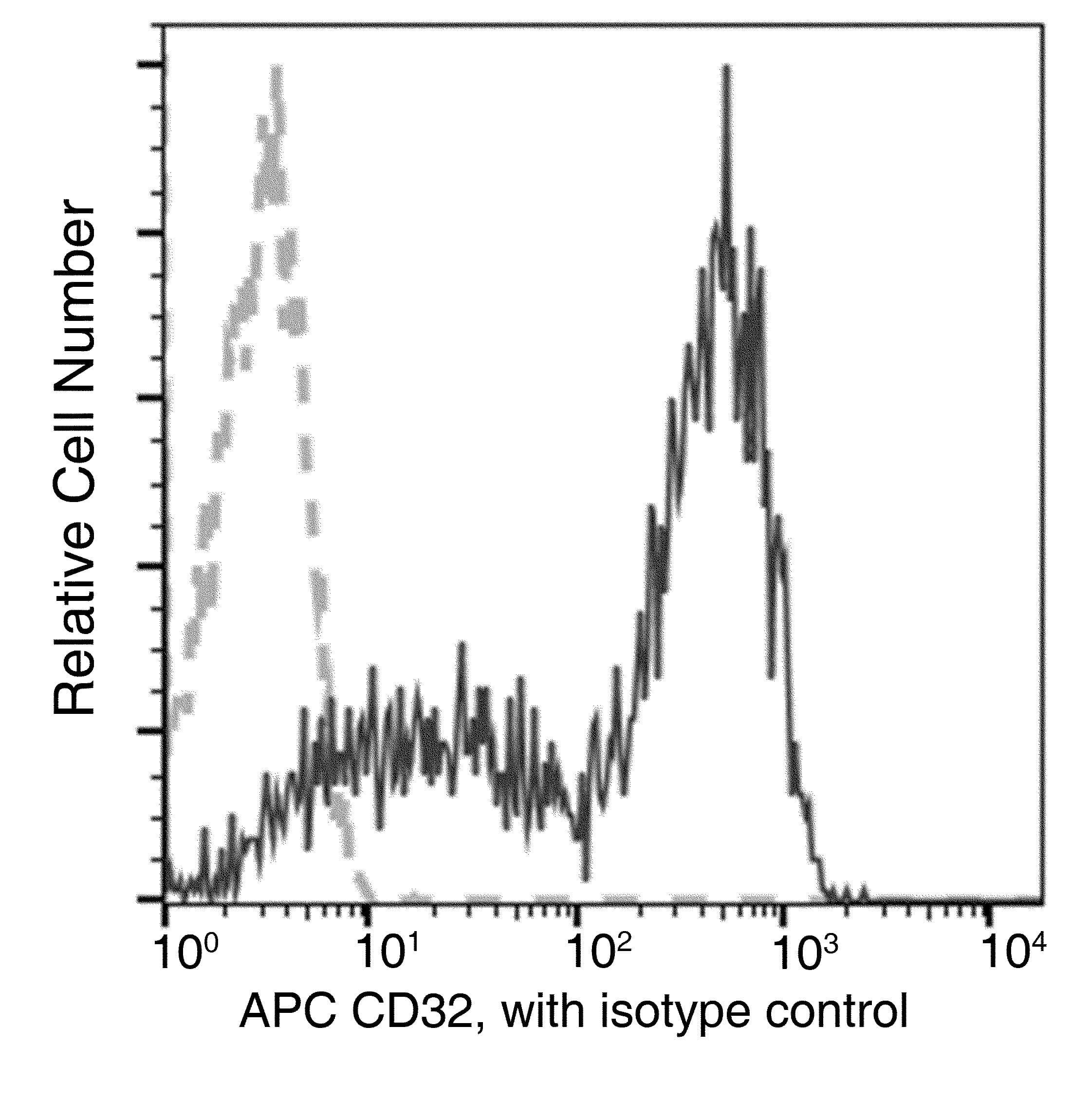 CD32B Antibody (clone 12, APC)