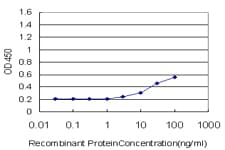 MLC3F / MYL1 Antibody (clone 2D9)