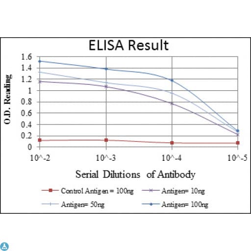 AURKA / Aurora-A Antibody