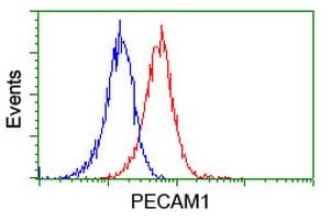 PECAM-1 / CD31 Antibody (clone OTI2E4)