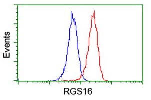 RGS16 Antibody (clone OTI4E5)