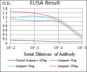 STAT5A Antibody (clone 6D4)