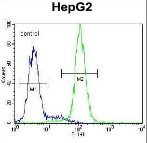 CST9 Antibody (aa131-159)