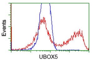 UBOX5 Antibody (clone OTI5A2)